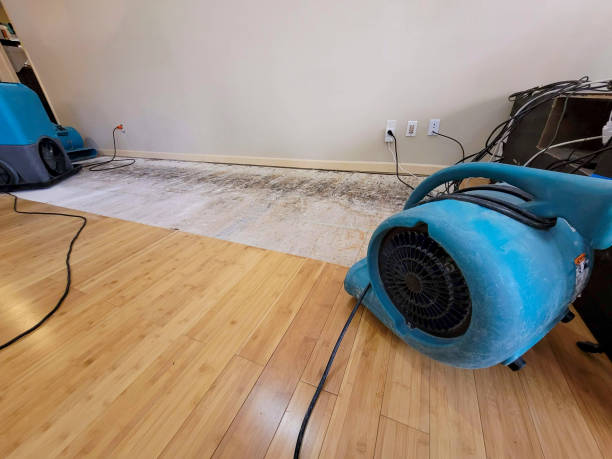 Professional Water Damage Repair technician working in Cochiti Lake, NM